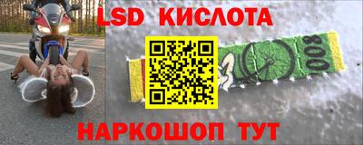 PSILOCYBIN Кунгур