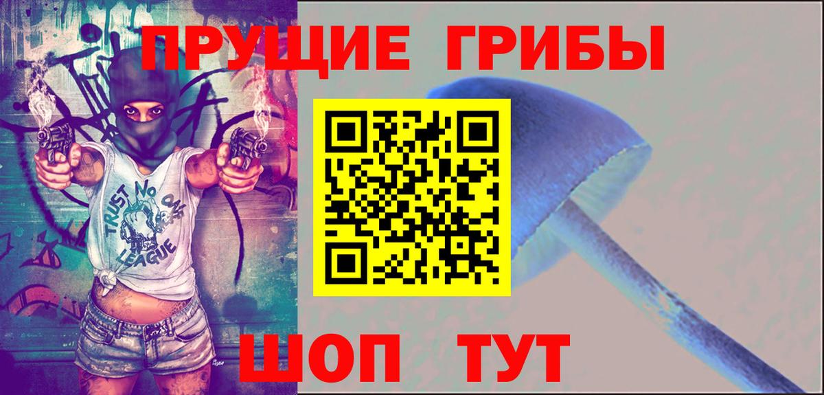 хочу   Псилоцибиновые грибы прущие грибы  Кингисепп  Вход с VPN  Псилоцибиновые грибы Psilocybe 